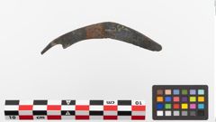 Foto von Eisengriffangelmesser (NHMW-PRAE-023769)